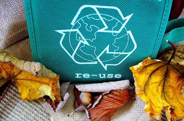 Slavíme DEN ZEMĚ 🌍 ochrana přírody je pro náš eshop U ŽABÁČKŮ velmi důležitá 🌍 TŘIĎTE ODPADY 🌿